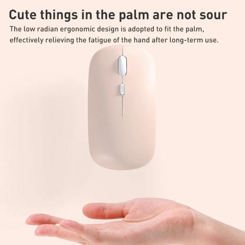 EDA003778401_B1.jpg@e293c7bfdf7edf387d2a03b3d68f404c