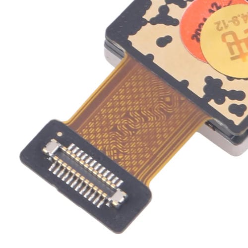 Câmara Traseira Principal Oppo A2 Pro Original