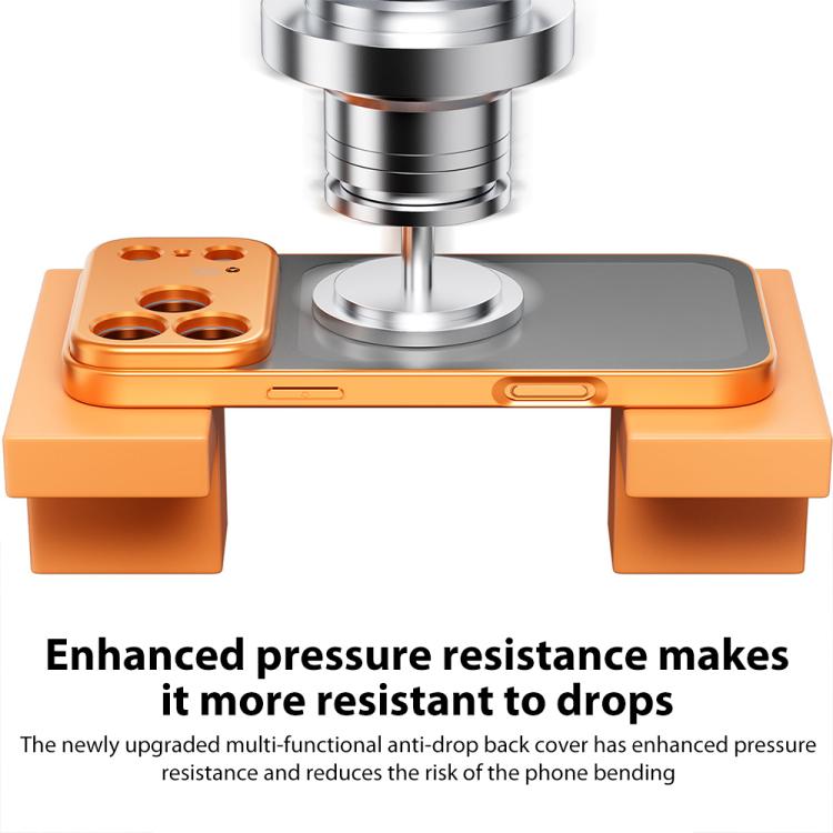 EDA0088110_B4.jpg@55cf617fa1f86c734eeaf8e663caec52