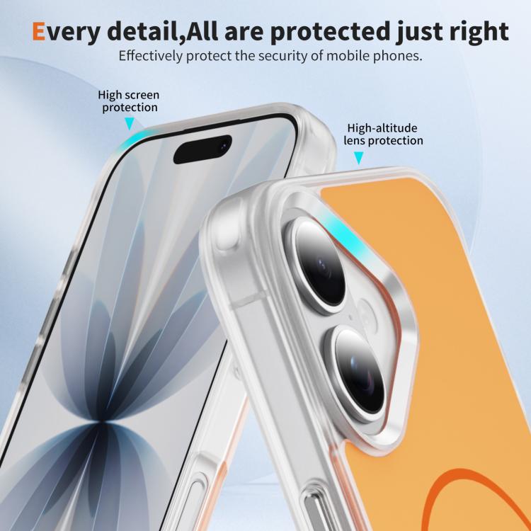 EDA008812203A_6.jpg@ad9fb7aedcba1ed1b35885327a1c2960