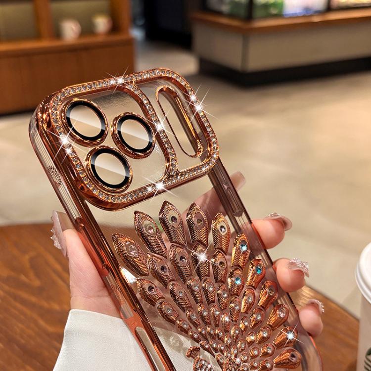 EDA0088332_B4.jpg@feaffb68a4e0453770e202eb15678048