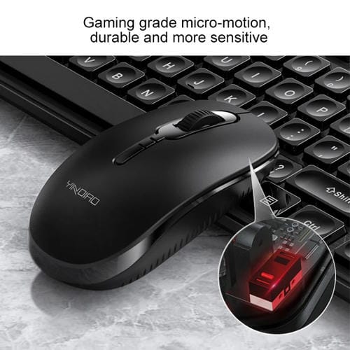 KB6566_B1.jpg@dec8c159b93fb34d55cc8e06c5f42734