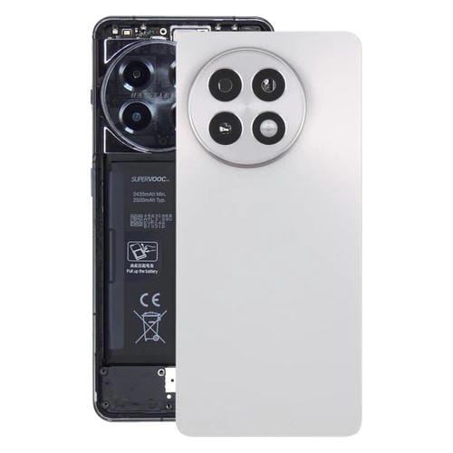 Tapa Trasera de Batería Vidrio OnePlus 13R CPH2645 CPH2691 CPH2647 (Plata Mate)