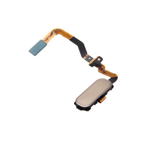 Samsung Galaxy S7 G930 Function Key Flex Cable (Gold)