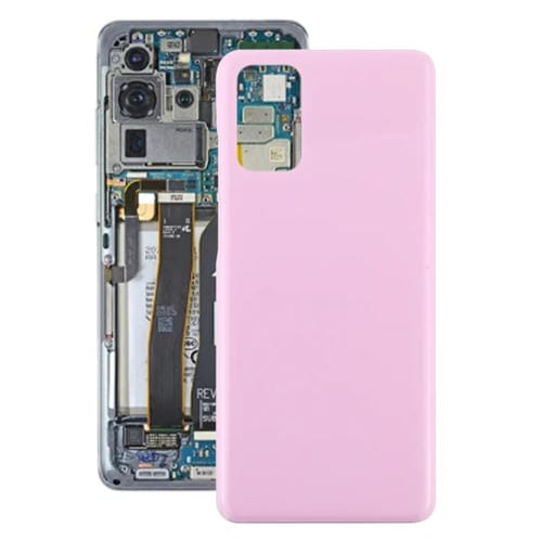 Coperchio Posteriore Batteria Samsung Galaxy S20+ (Rosa)