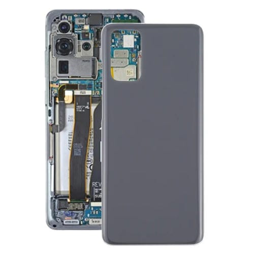 Coperchio Posteriore della Batteria Samsung Galaxy S20+ (Grigio)