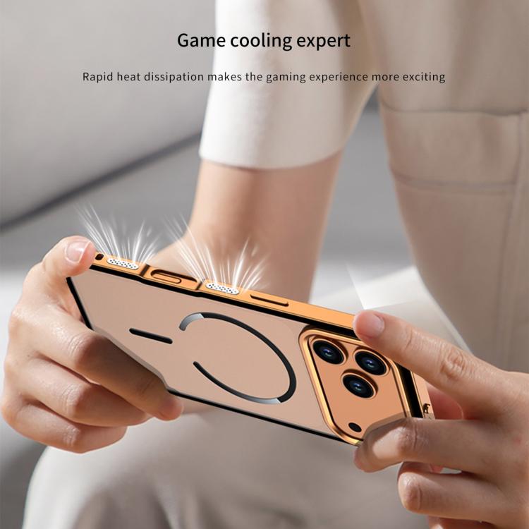 EDA0088043_B4.jpg@806bf2adf9458c325440c8215484e64d