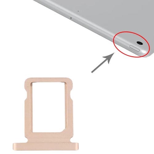 IPRO0241J.jpg@5c21d2e5f06b2f87cd1b9c5a05405709