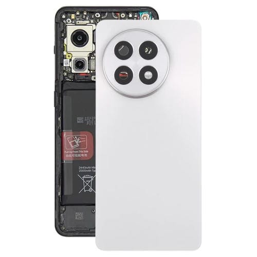 Rückseite Batterieabdeckung OnePlus 13R (Titanium)