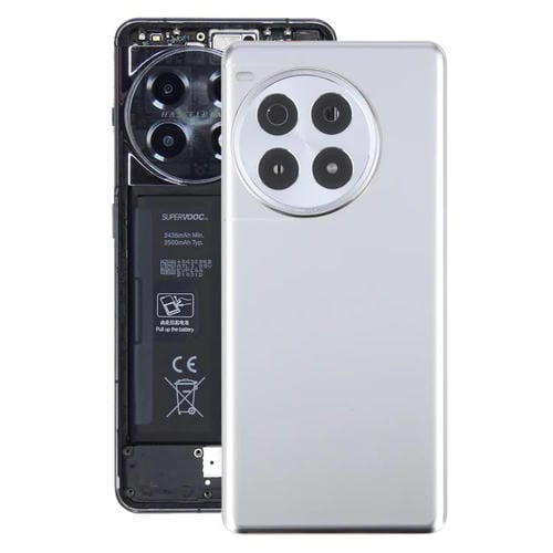 Rückseite Batterieglas OnePlus Ace 3 Pro PJX110 Kameraglas (Silber)
