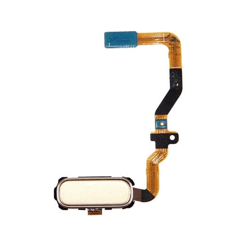 Câble flexible du bouton d'accueil Samsung Galaxy S7/G930 (Or)