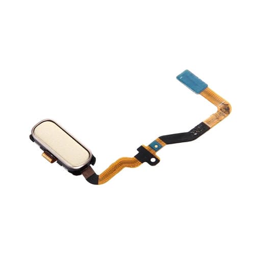 Botón de Inicio Flex Cable Samsung Galaxy S7 / G930 (Oro)