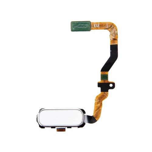 Botón de Inicio Flex Cable Samsung Galaxy S7 / G930 (Blanco)