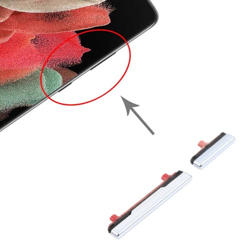 Ein- / Ausschalttasten und Lautstärketasten Samsung Galaxy S21 Ultra 5G (Silber)