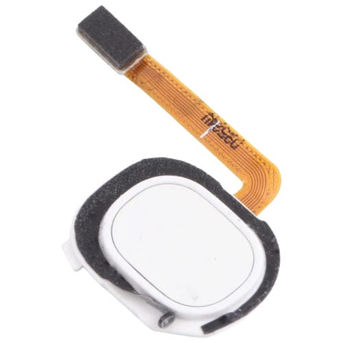 Flexkabel Fingerabdrucksensor Samsung Galaxy A20E/A20 (Weiß)